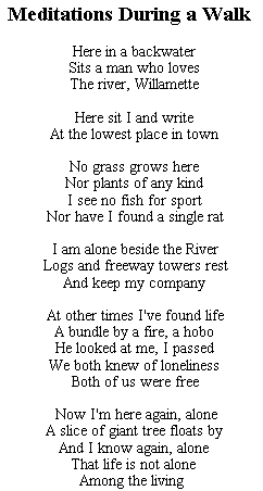 [Meditaions During a Walk]